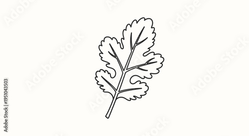Cilantro Leaf Outline Icon