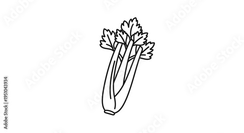 Celery stalks with leaves, simple line drawing, healthy food illustration