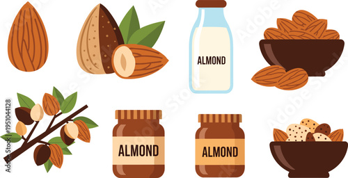 Almond Collection with Nuts Milk Butter Jars Tree Branch and Snack Bowl Elements Flat Vector Illustration Featuring Organic Healthy Food Design