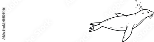 Charming Vector Line Art Illustration of a Sea Lion Swimming Underwater with Bubbles for Marine Life Nature and Wildlife Graphic Design Projects