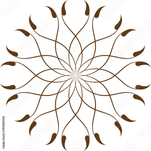 Elegant symmetrical floral mandala design with intricate swirling brown lines and teardrop shapes forming a delicate circular pattern isolated on a white background symbolizing nature and artistry