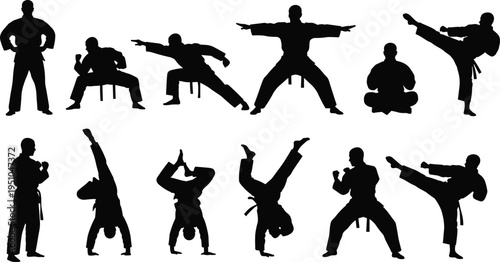 martial arts silhouettes collection, karate fighter poses, taekwondo kick action, kung fu training stances, combat sport illustration, isolated black silhouettes set