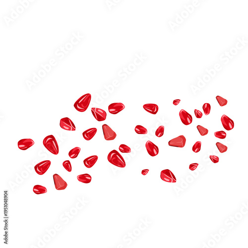 Pomegranate Seeds Falling Illustration 