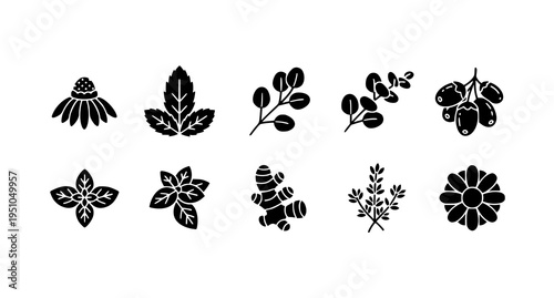 A set of black and white vector graphic illustrations of various leaves and flowers