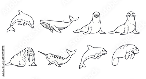 Collection of simple line art marine animals and sea creatures.