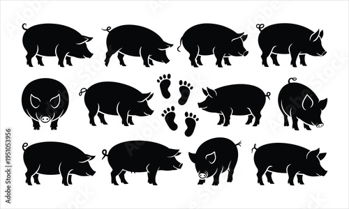 A collection of black pig silhouettes in various poses including an overhead view and pig footprints