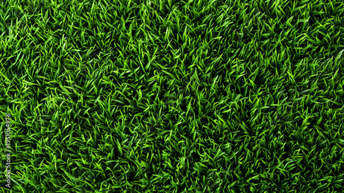 dense lawn grass texture background with rich green natural surface and organic plant pattern, fresh outdoor backdrop