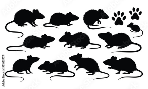 A detailed collection of rat and mouse silhouettes in various poses including paw prints on white