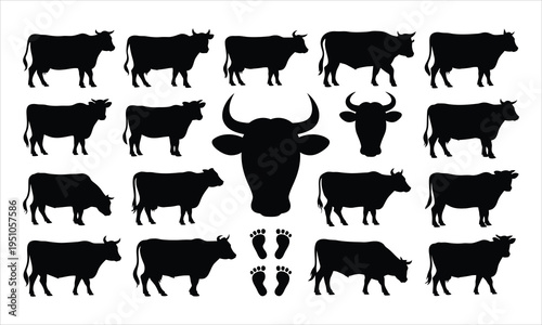 A diverse set of black cow and bull animal silhouettes with additional human footprints on a white background