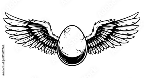 wings vector illustration