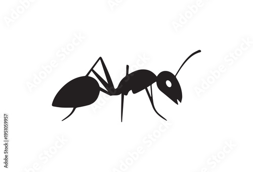 Black ant icon vector