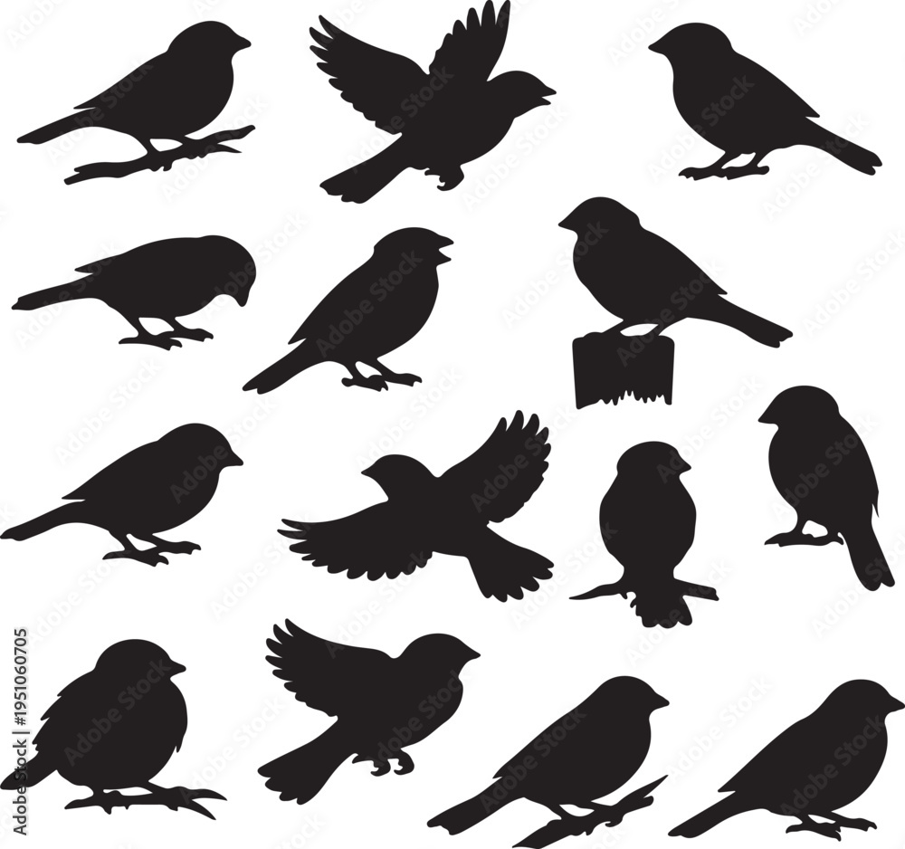 Fototapeta premium House sparrow icon silhouette vector bundle illustration