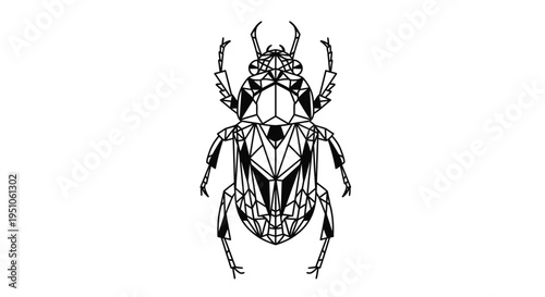 Geometric beetle illustration