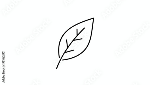 Minimalist Leaf Icon: Simple Outline of a Single Green Leaf with Veins