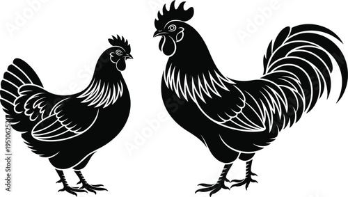 Rooster and hen silhouette vector illustration featuring detailed farm chicken pair, black poultry birds isolated design for agriculture logo, rural farming, livestock branding graphics