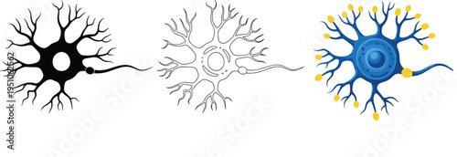 Neuron nerve cell structure illustration set, black outline and blue scientific brain neuron diagram, neuroscience biology medical education vector