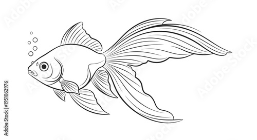 goldfish swimming with long fins and bubbles