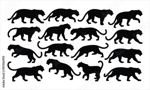 Numerous sleek black panther or jaguar silhouettes showing various powerful walking and stalking movements