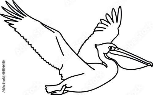 Graceful pelican glides effortlessly through the air with wings outstretched, beautifully captured in a striking minimalist line art illustration, showcasing its majestic flight.