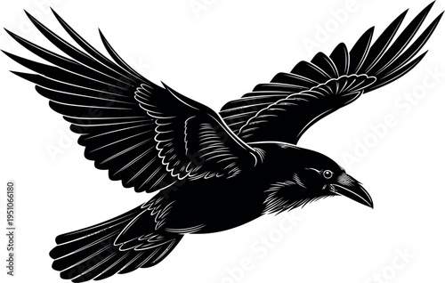Striking black raven with outstretched wings soaring gracefully in mid-flight against a clean white background, capturing the powerful essence of freedom in a beautiful graphic illustration.