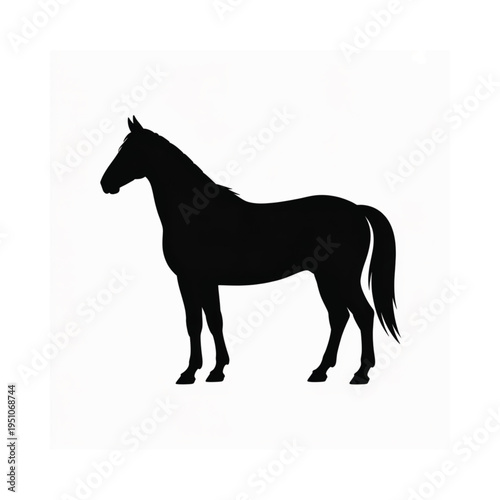 A striking silhouette of a horse stands prominently against a white background