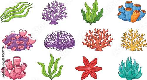Set of colorful cartoon underwater icons featuring various coral species sea anemones seaweed and ocean plants isolated on white background for marine design