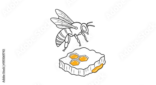 Bee Flying Over Honeycomb with Honey - Line Art Illustration