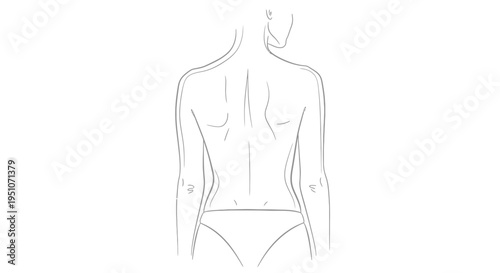 Back View of Female Torso Outline Drawing, Showing Spine and Shoulder Blades