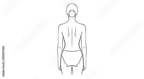 Back View of Woman's Torso with Muscular Back and Smooth Skin - Line Art Illustration