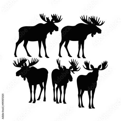 Moose silhouettes set, wild animal elk collection different poses isolated on white background vector illustration