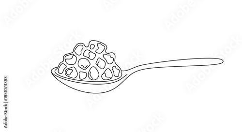 Spoonful of Pomegranate Seeds, Healthy Food Ingredient, Close-up Line Art