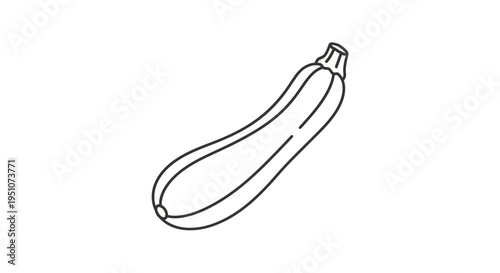 Simple Line Drawing of a Zucchini or Courgette Vegetable