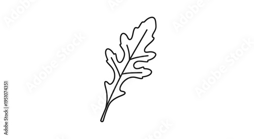 Simple Line Art Illustration of a Single Arugula Leaf