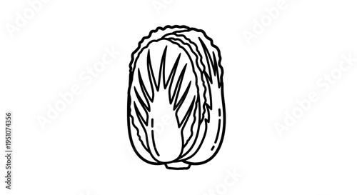 Simple Line Art Illustration of a Fresh Napa Cabbage