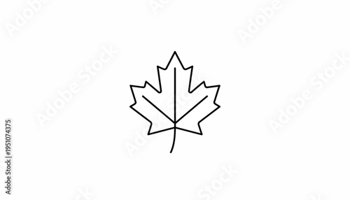 Simple Line Art Maple Leaf Icon