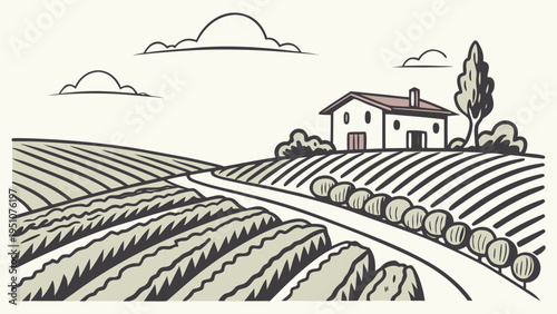 Spanish Vineyard Landscape with Rolling Hills Vector