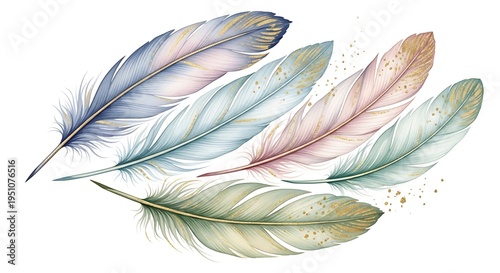 Delicate, multicolored bird plumes are depicted with golden accents against a white background.