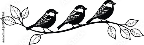 birds sitting on branch silhouette, sparrow bird vector illustration, nature wildlife design, songbird icon set, perched birds graphic