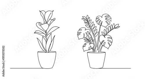 Minimalist line drawing of two potted houseplants fiddle leaf fig and monstera