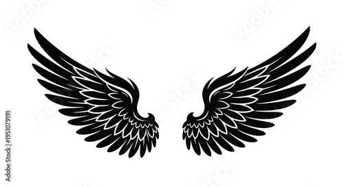 A pair of stylized black wings symmetrically displayed on a white background