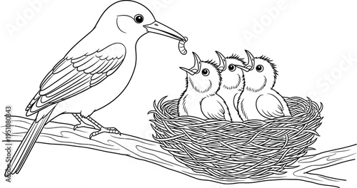 A nurturing mother bird feeds her three hungry baby chicks a worm in their cozy nest, perched securely on a branch, perfect as a detailed coloring page outline.