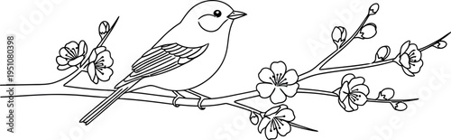 An elegant and minimalist line drawing of a charming small bird perched serenely on a delicate branch adorned with beautiful spring cherry blossoms, celebrating the arrival of the new season.