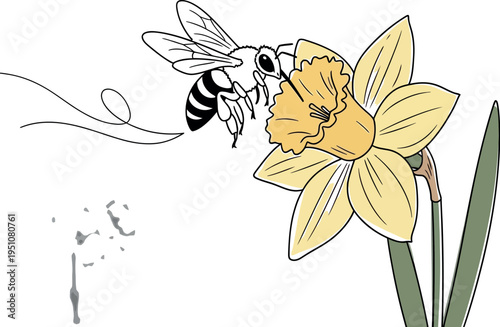 A charming cartoon bee, rendered in black and white outline, gracefully approaches a beautifully colored yellow daffodil flower, diligently seeking nectar on a clean white background.