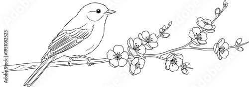 A beautiful little bird with delicate feathers peacefully perches on a blooming spring branch adorned with vibrant cherry blossom flowers, perfect for coloring book designs and nature-themed projects.