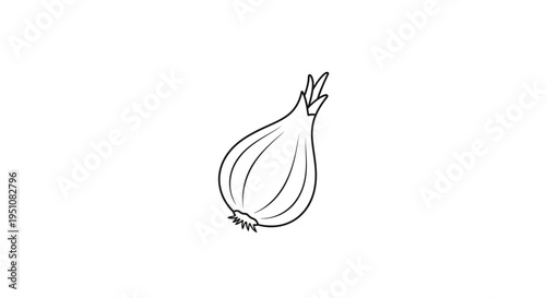 Simple Outline Drawing of a Fresh Onion on White Background