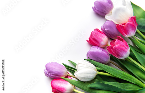 Colorful blooming tulips creating a vibrant spring border