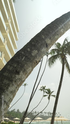 Oceanfront beach club in Sri Lanka, summer vacation destination with chill lounge, palm trees and scenic coastline