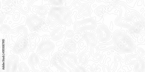 Minimal white line geometric grid outline curve counter map and wavy topography relief discovery area white, black line texture background.