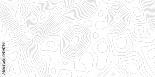 Minimal white line geometric grid outline curve counter map and wavy topography relief discovery area white, black line texture background.