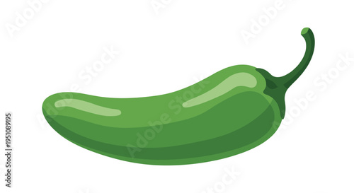 Smooth green jalapeño pepper illustration, highlighting its classic conical shape and glossy skin, representing a popular spicy ingredient for various cuisines and dishes.
